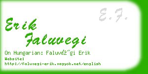 erik faluvegi business card